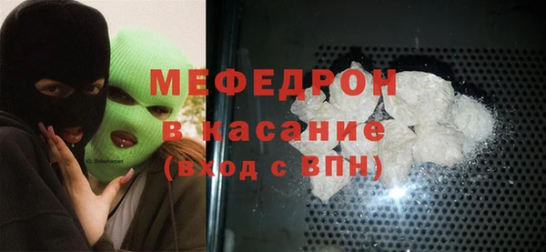 индика Ельня