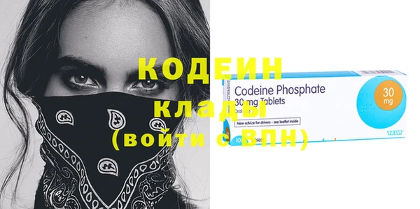 индика Ельня