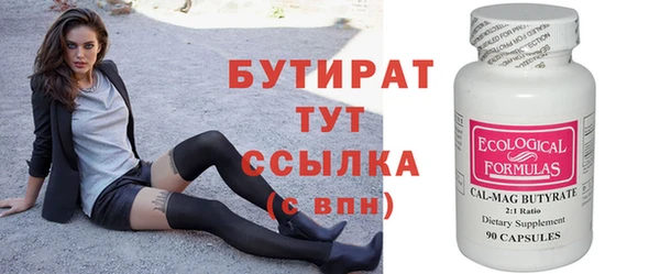 индика Ельня