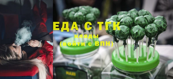 индика Ельня