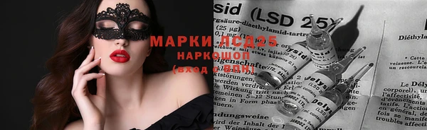индика Ельня