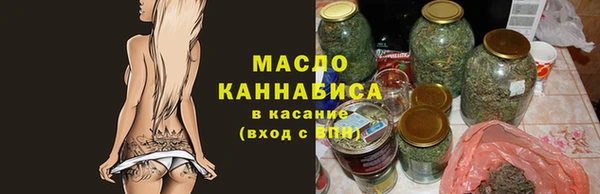 индика Ельня