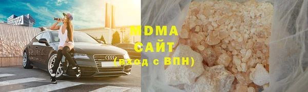 индика Ельня