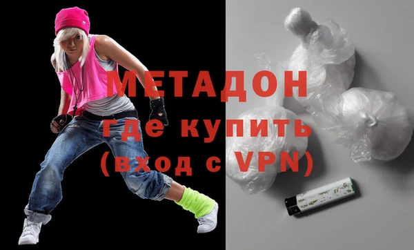 индика Ельня