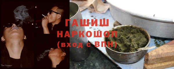 индика Ельня