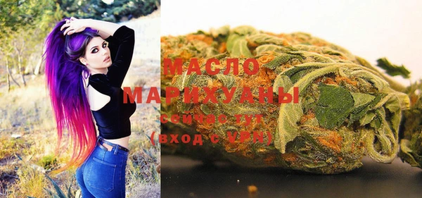 индика Ельня