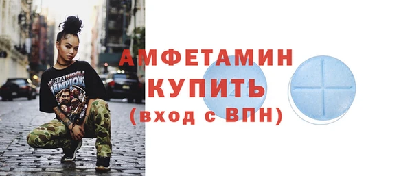 индика Ельня