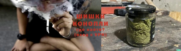 дмт Елабуга