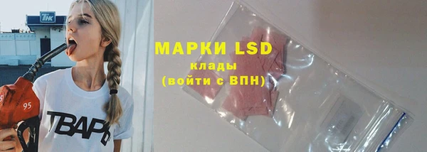 дмт Елабуга