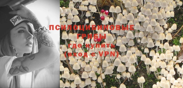 ГАЛЛЮЦИНОГЕННЫЕ ГРИБЫ Елизово