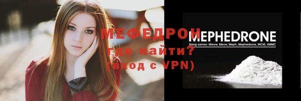индика Ельня