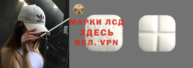 дмт Елабуга