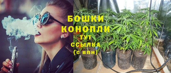 ГАЛЛЮЦИНОГЕННЫЕ ГРИБЫ Елизово