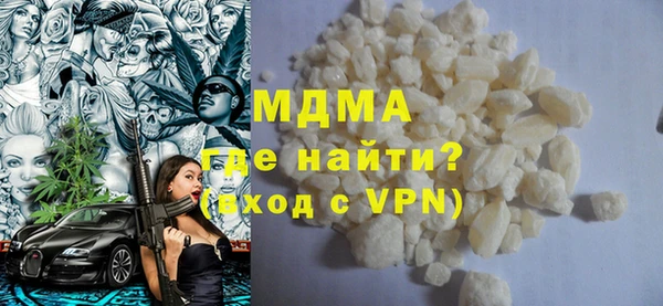 индика Ельня