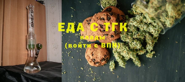 индика Ельня