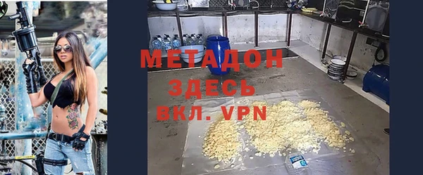 индика Ельня