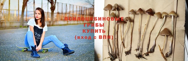 дмт Елабуга
