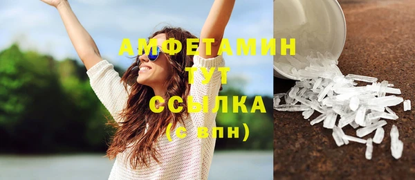 индика Ельня