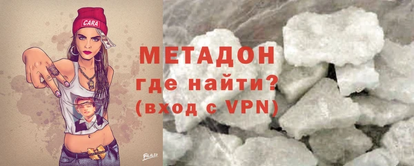 индика Ельня