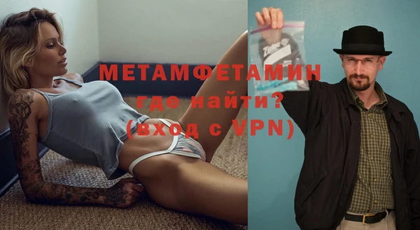 индика Ельня