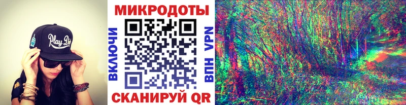 Купить где  Галич  Псилоцибиновые грибы Magic Shrooms 